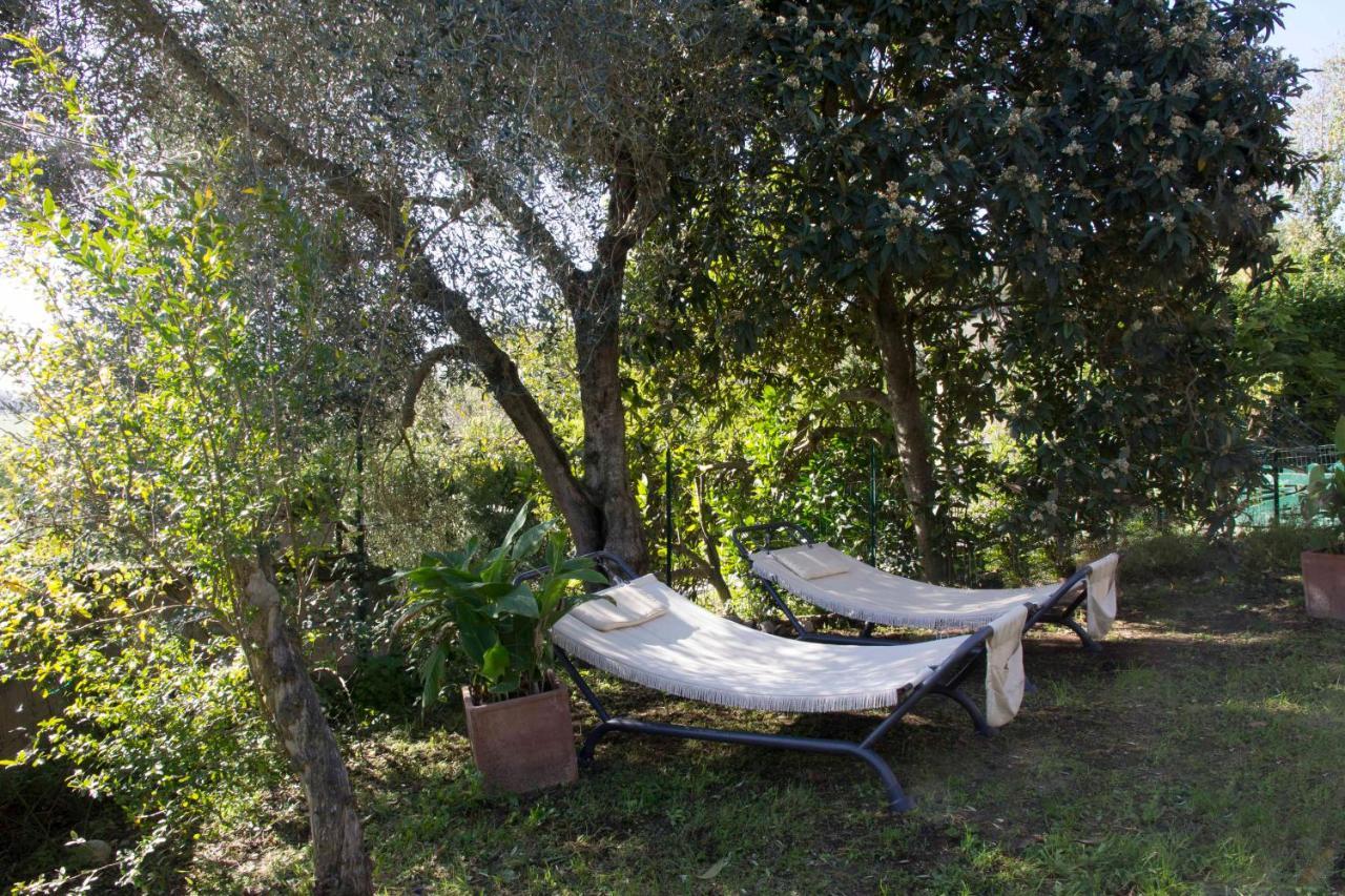 Casale San Pietro Bed & Breakfast Otricoli Exterior foto