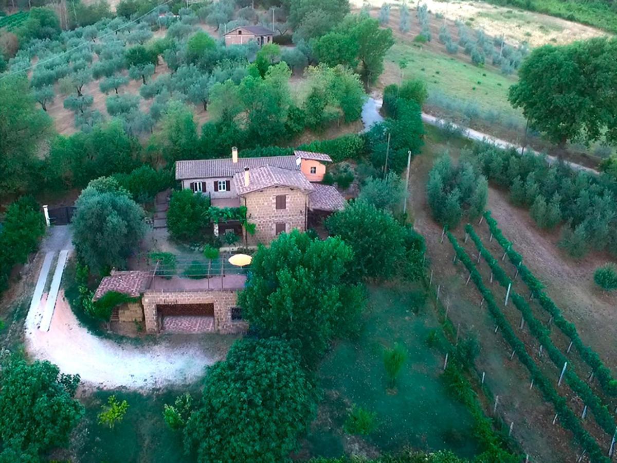 Casale San Pietro Bed & Breakfast Otricoli Exterior foto